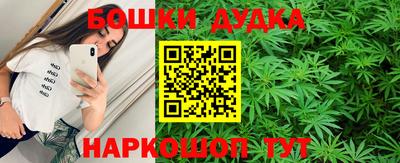 сатива Можга