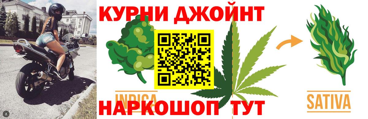 Шишки марихуана план  Марихуана сатива  Вход с VPN  Марихуана Amnesia  МАРИХУАНА конопля  Всеволожск 